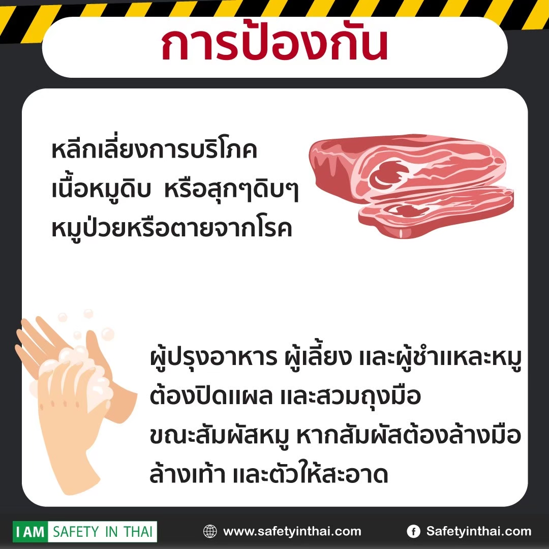 อันตรายจากกินหมูดิบ