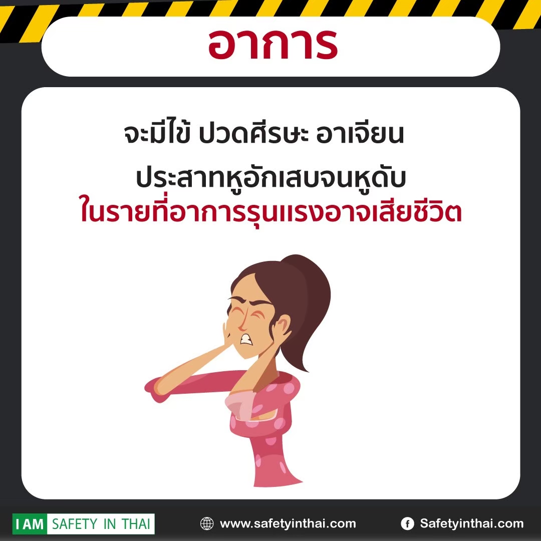 อันตรายจากกินหมูดิบ