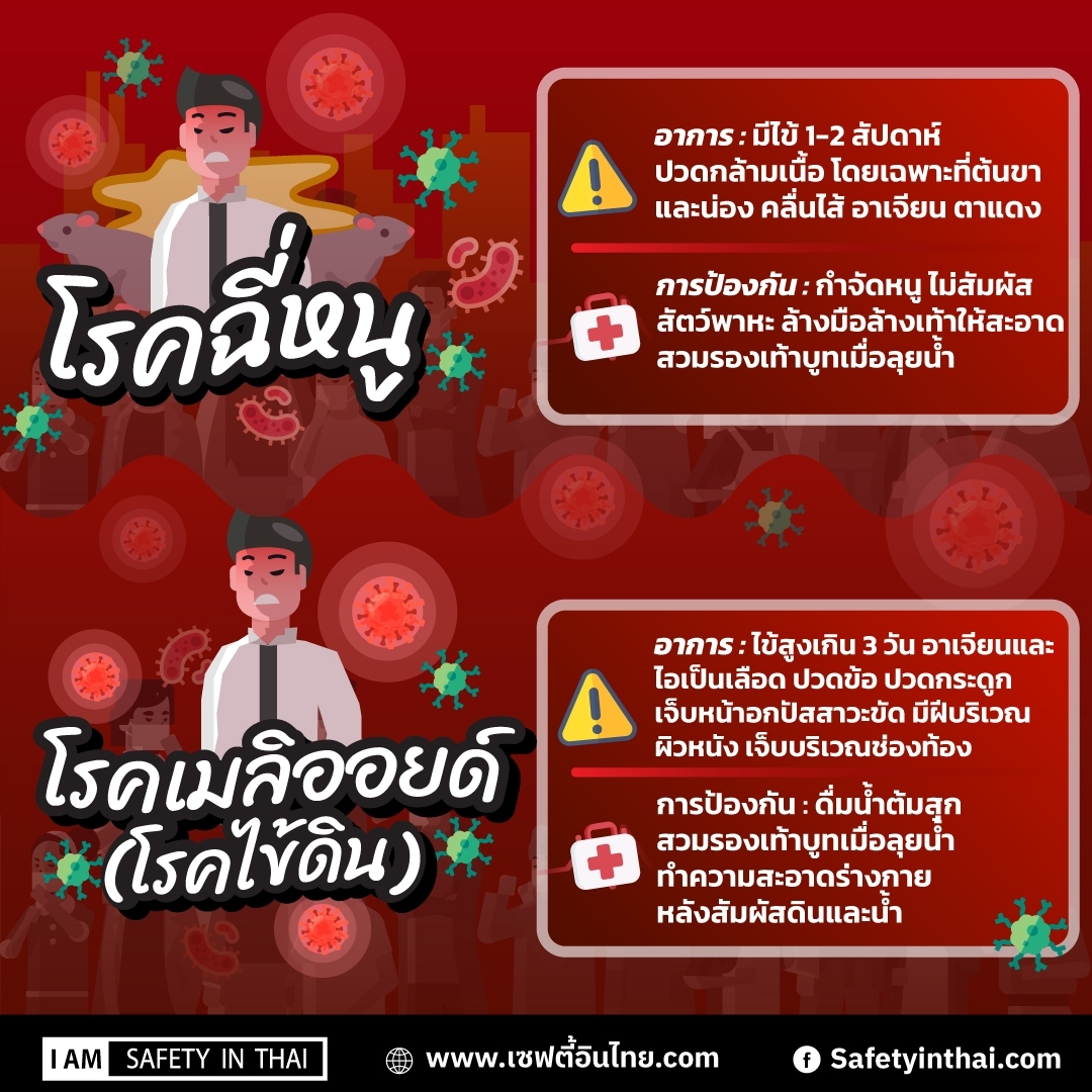 6 โรคร้ายที่มากับน้ำท่วม 