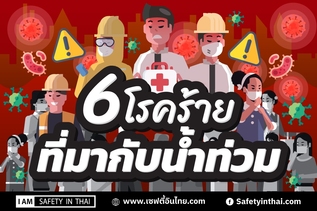 6 โรคร้ายที่มากับน้ำท่วม   แสดงร่างคำตอบ