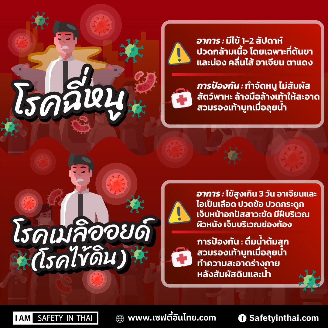 โรคฉี่หนู (Leptospirosis) และ โรคไข้ดิน หรือเมลิออยด์ (Melioidosis)