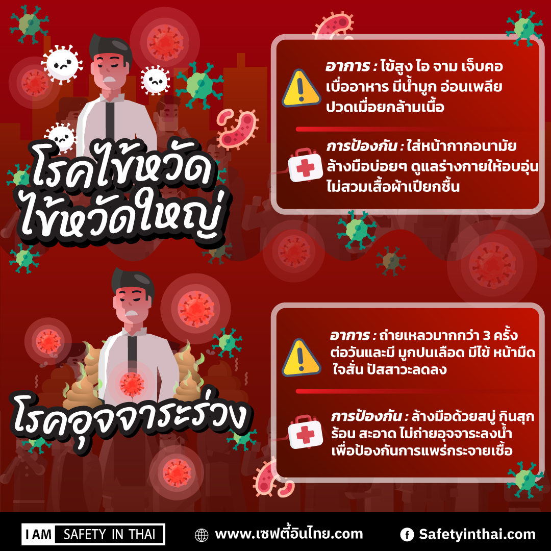 ไข้หวัด–ไข้หวัดใหญ่ และ โรคอุจจาระร่วง
