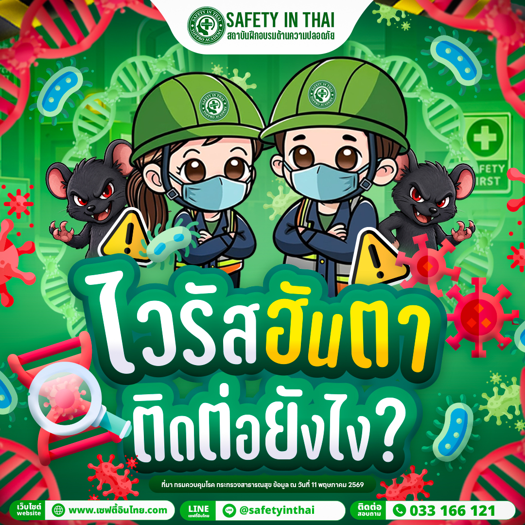 ไวรัสฮันตา คืออะไร ติดต่อยังไง