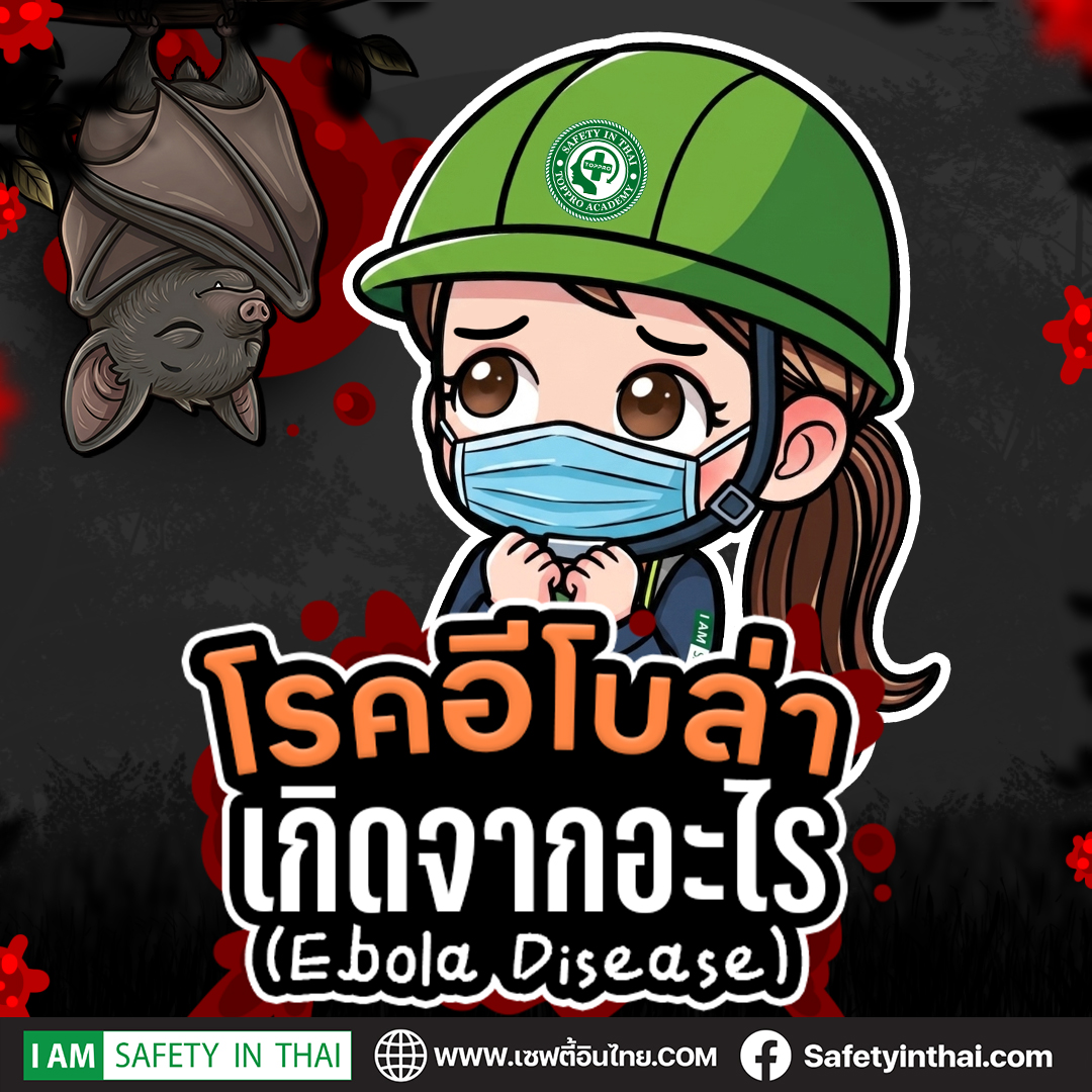 อีโบล่า (Ebola) เกิดจากอะไร?
