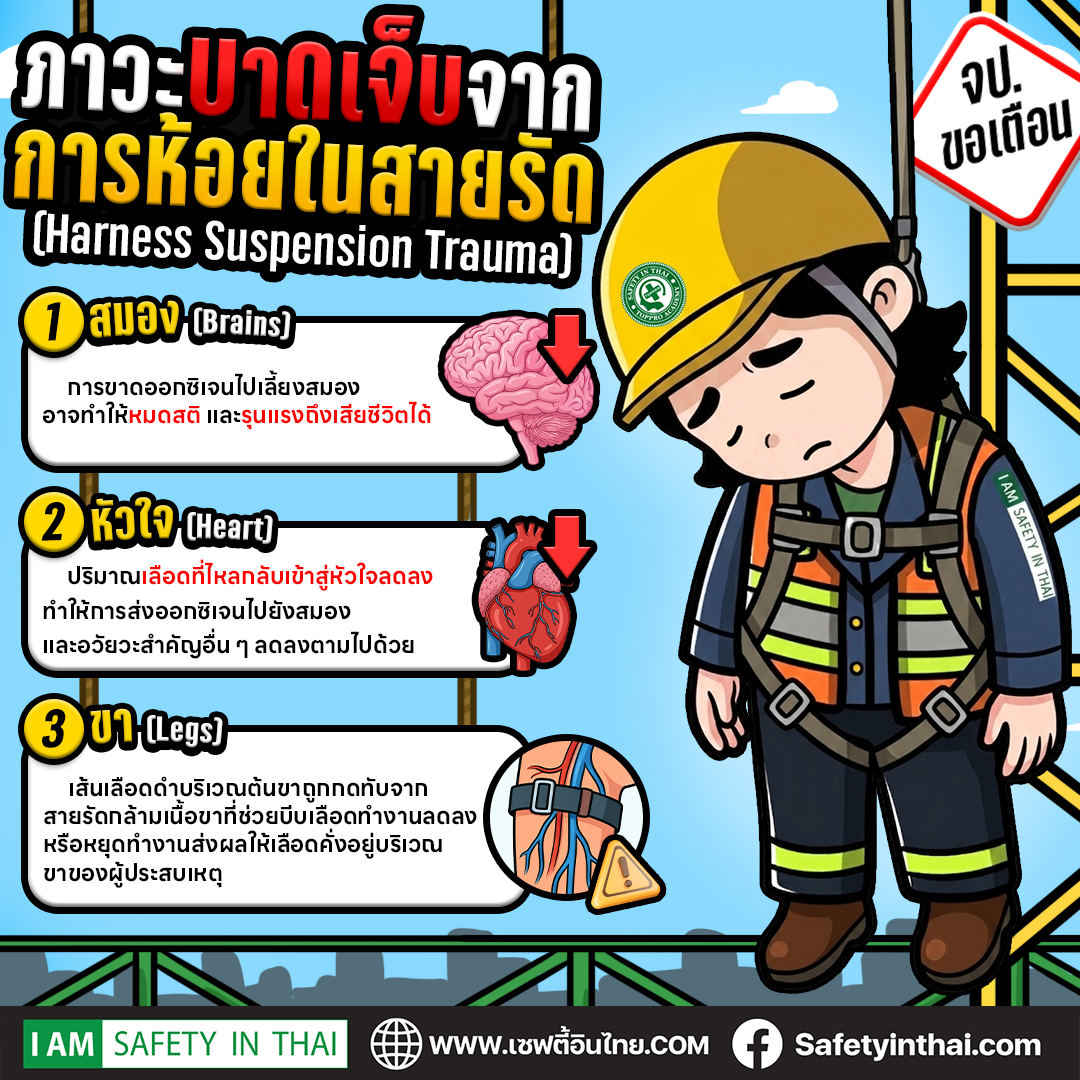อันตรายจากการ ทำงาน บนที่สูง ภาวะบาดเจ็บจากการห้อยในสายรัด ภัยเงียบหลังระบบกันตกทำงาน