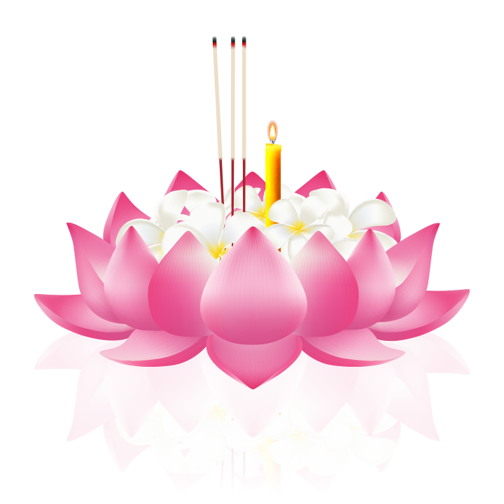 kratong-มิดฟิลด์